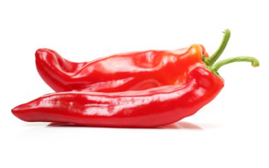 Şili biberi