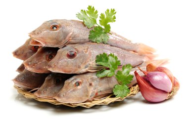 Kızıl kırlangıç balığı