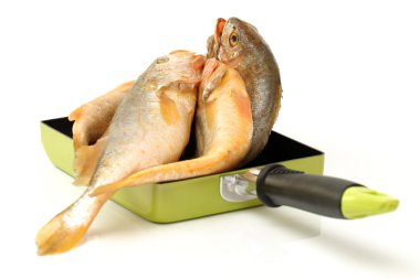 Sarı kurbağa balık