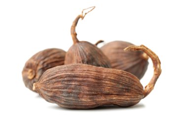 Siyah Kakule