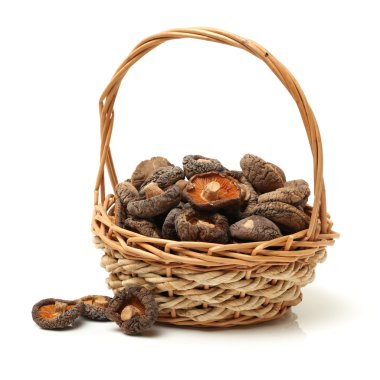shiitake mantarları