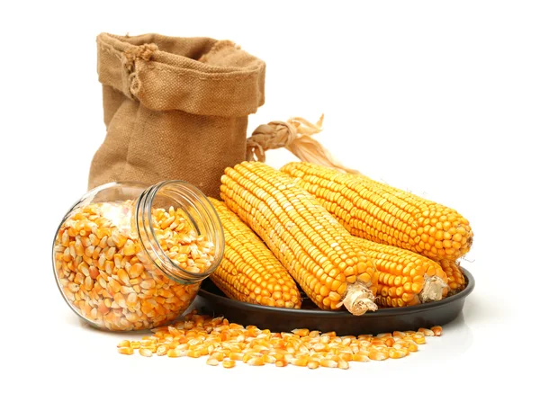 Kukorica és kukorica vetőmag — Stock Fotó