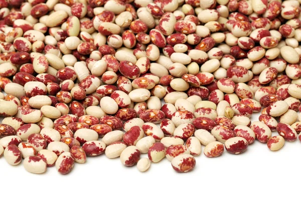 Phaseolus vulgaris beans — Stock Photo, Image