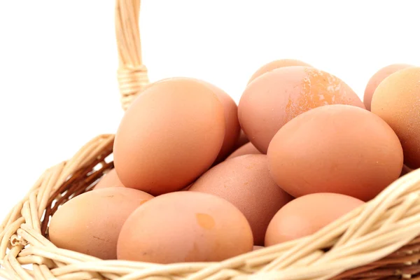 Fresh eggs — Stock Photo, Image