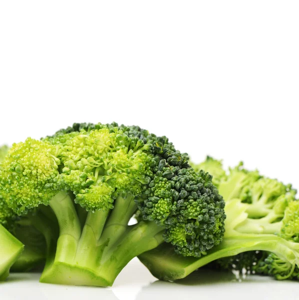 Broccoli isolati su fondo bianco — Foto Stock