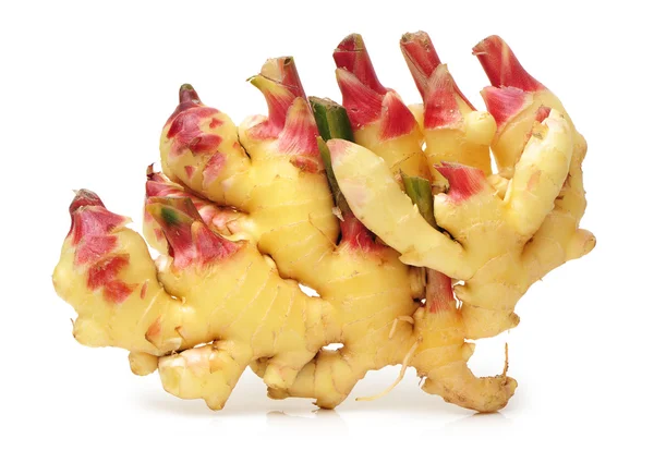 Fresh ginger — Stock Photo, Image