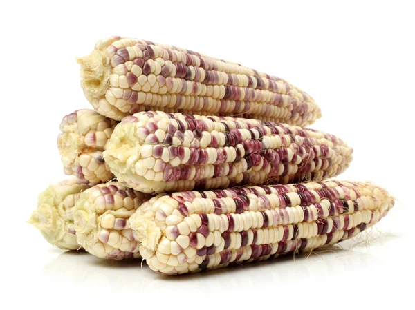 A kukorica csövek — Stock Fotó