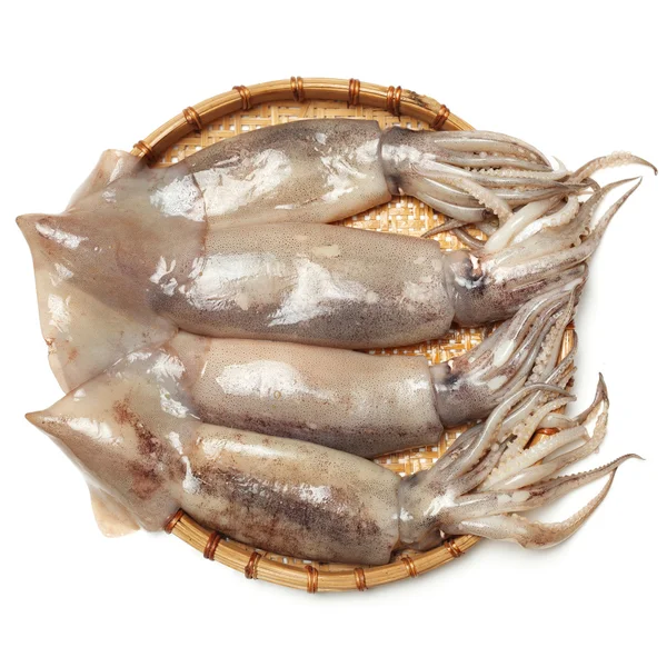 Steamed Squids — Stock Photo, Image