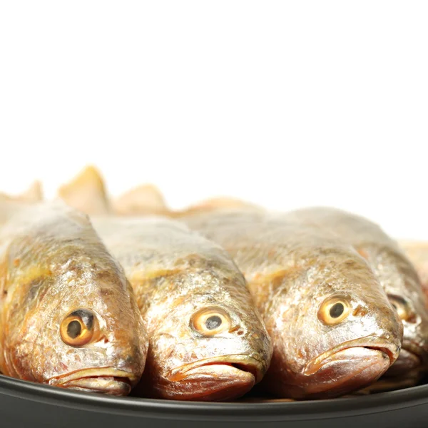 Pescado Croaker amarillo —  Fotos de Stock