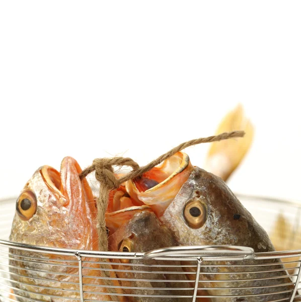 Amarelo Croaker Fish — Fotografia de Stock