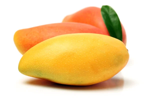 Fresh Mangos — Stock Photo, Image