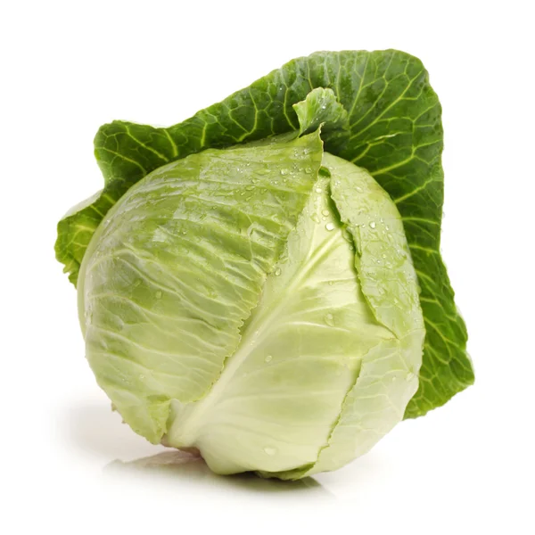 Fresh cabbage — Stock Photo, Image