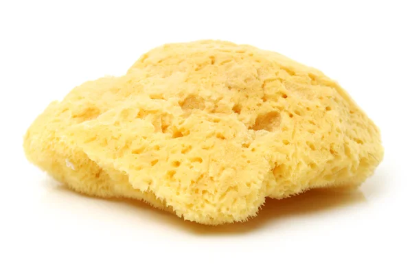 Natural sponge — Stock Photo, Image