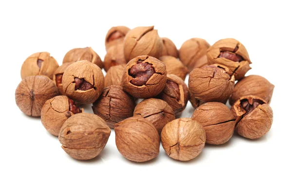 Shagbark hickory nuts — Stock Photo, Image