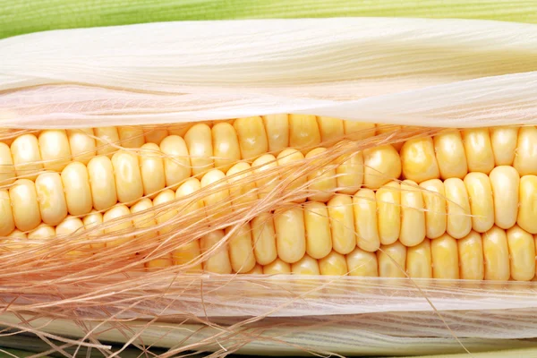 Corn in leaves — Stock Photo, Image