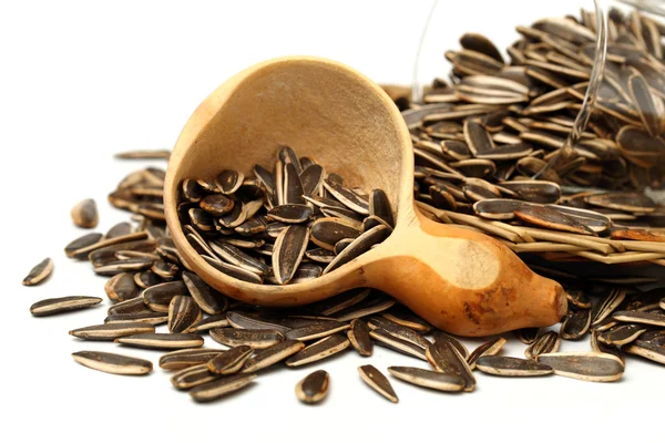 Sunflower seeds — Stock Photo, Image