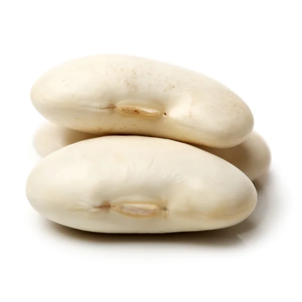 White beans — Stock Photo, Image