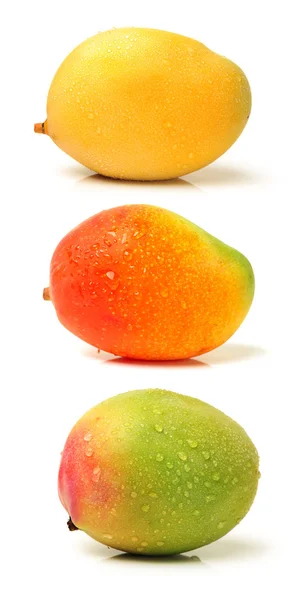 Vers mango 's — Stockfoto