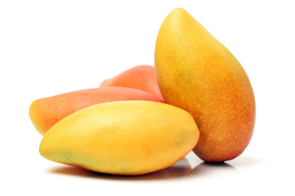 Fresh Mangos — Stock Photo, Image