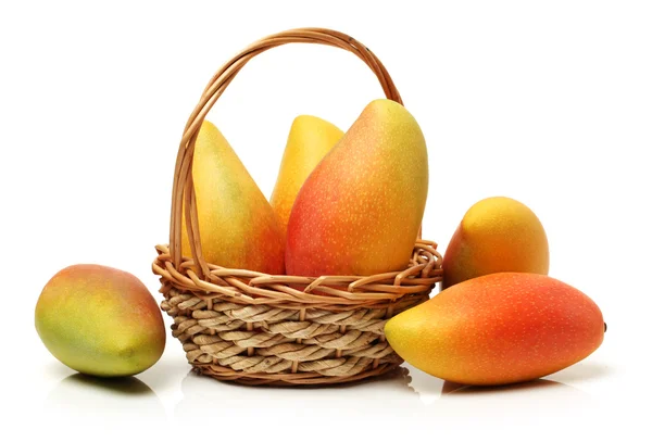 Świeże mango — Zdjęcie stockowe