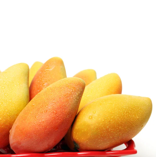 Färsk mango — Stockfoto