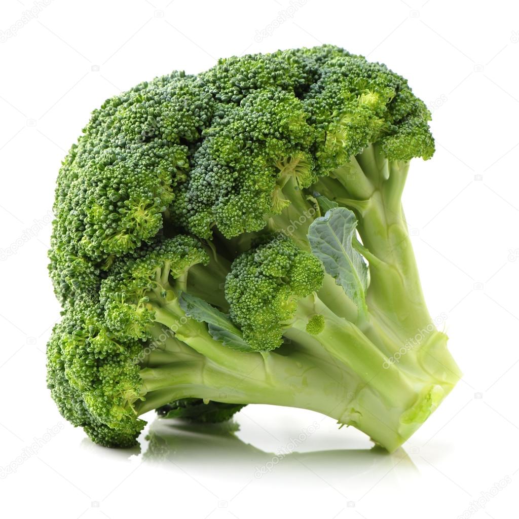 Broccoli isolated on white background