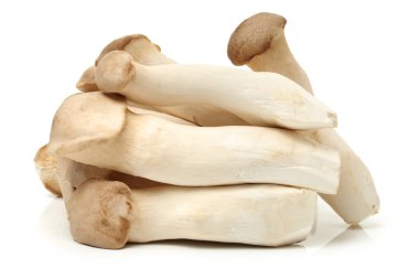 King oyster mushrooms clipart