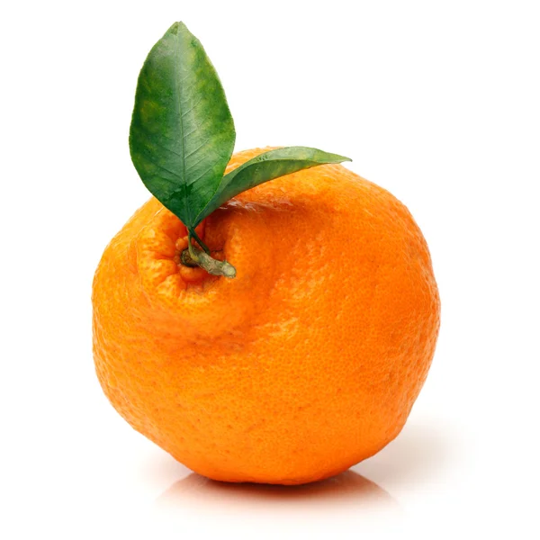 Frutas de naranja —  Fotos de Stock