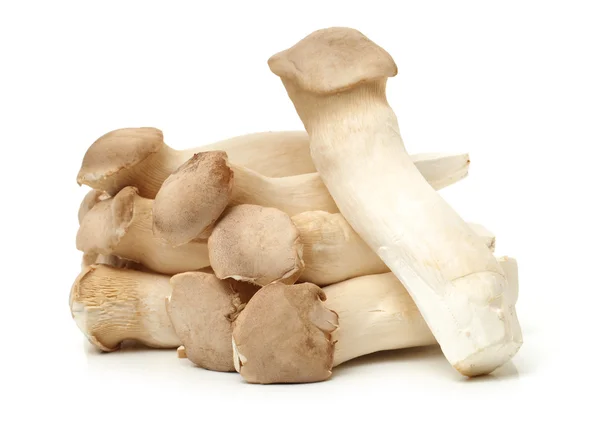 King oyster mushrooms — Stock Photo, Image