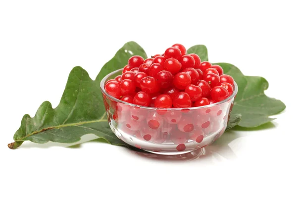 Cerezas frescas — Foto de Stock