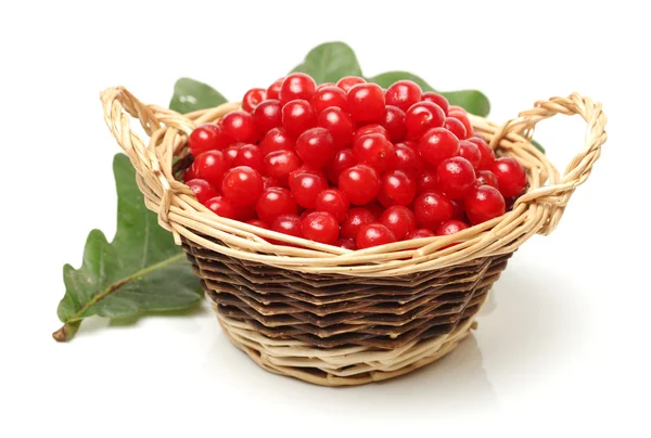 Fresh Cherries — Stock Photo, Image