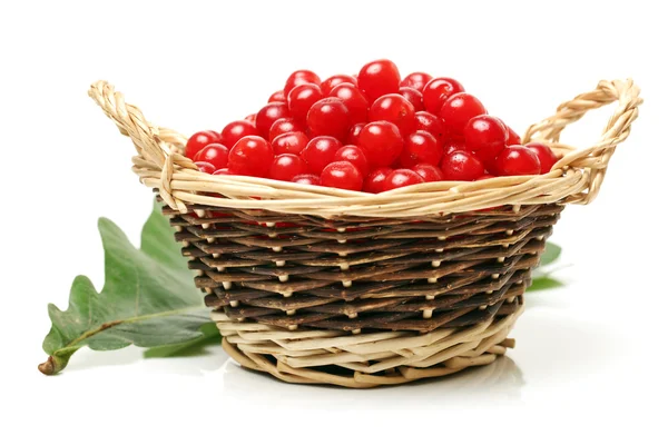 Fresh Cherries — Stock Photo, Image