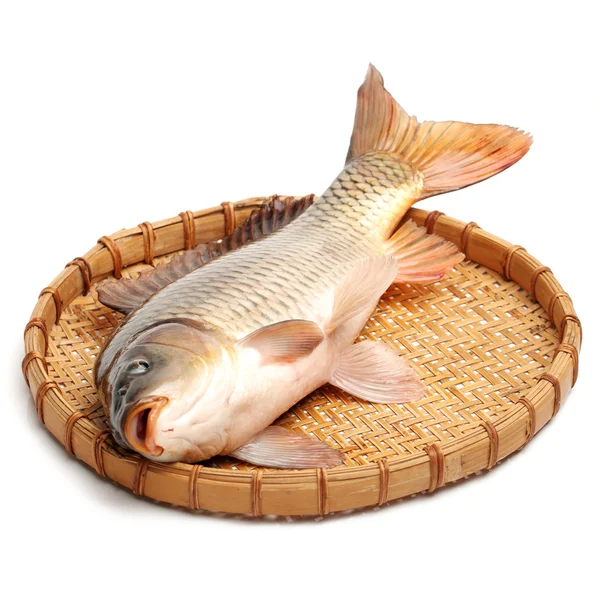 Roher Fisch — Stockfoto