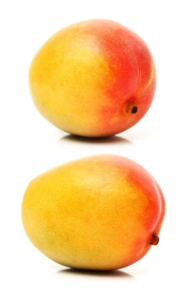 Taze mango — Stok fotoğraf