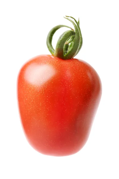 Frische Tomaten — Stockfoto