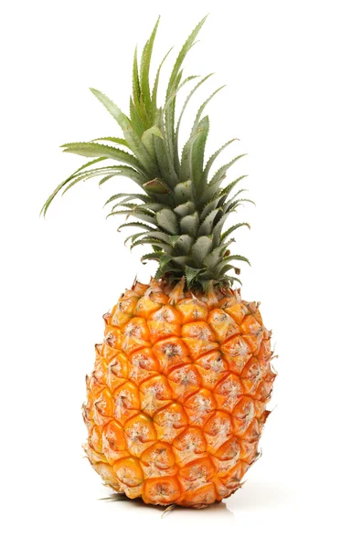 Rijp ananas — Stockfoto