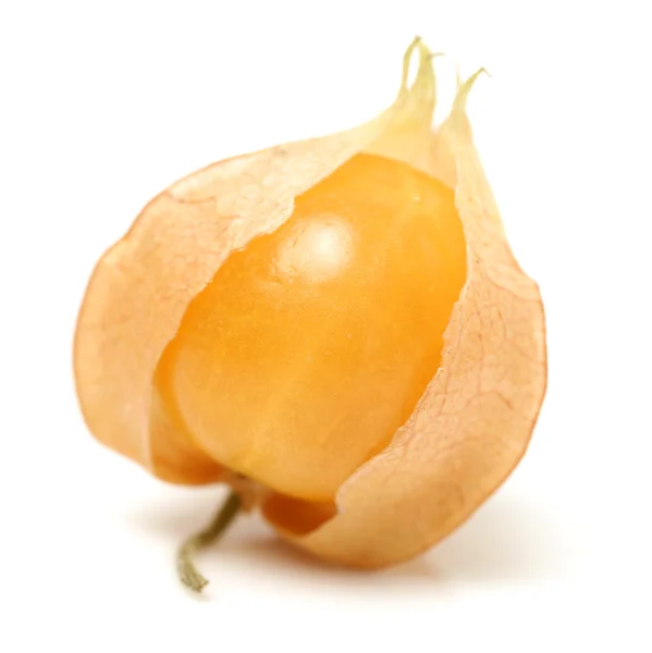 Physalis fruits — Photo