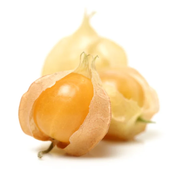 Physalis fruit — Stock Photo, Image