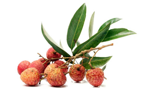 Lychee meyve. taze lychees — Stok fotoğraf