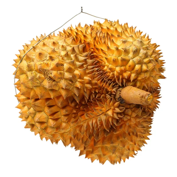 Durian fruit - Zuid-Oost-Azië — Stockfoto