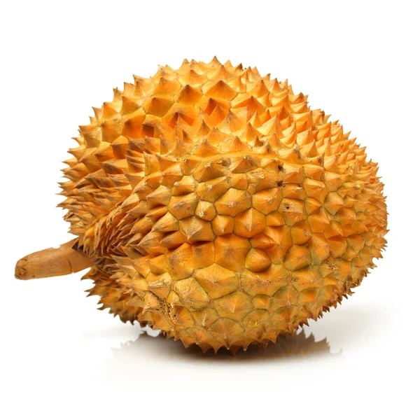 Durian fruit - Zuid-Oost-Azië — Stockfoto