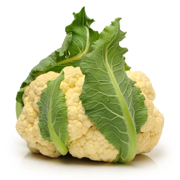 Fresh cauliflower — Stock Photo, Image