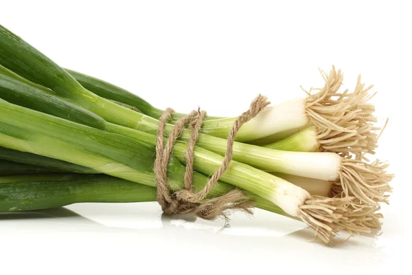 Green Onion — Stock Photo, Image