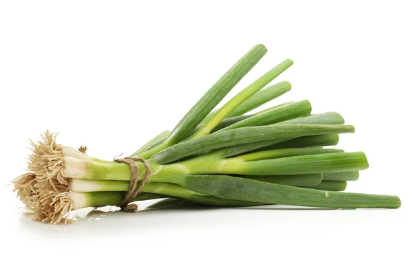 Green Onion — Stock Photo, Image