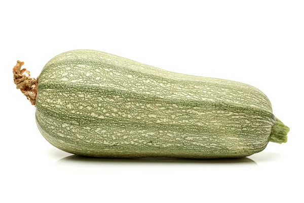 Frische Zucchini — Stockfoto