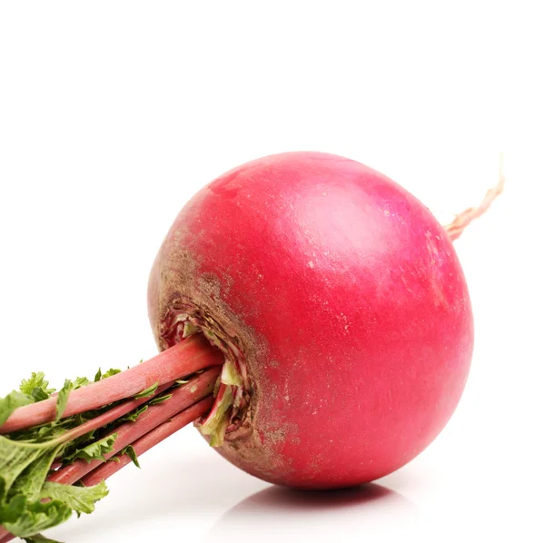 Fresh radish — Stock Photo, Image