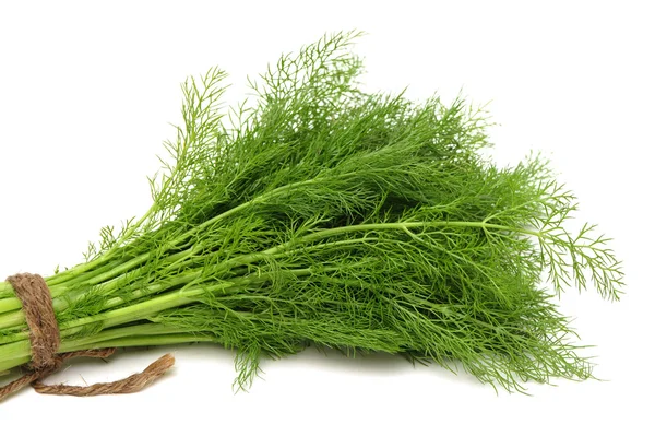 Dill geïsoleerd — Stockfoto