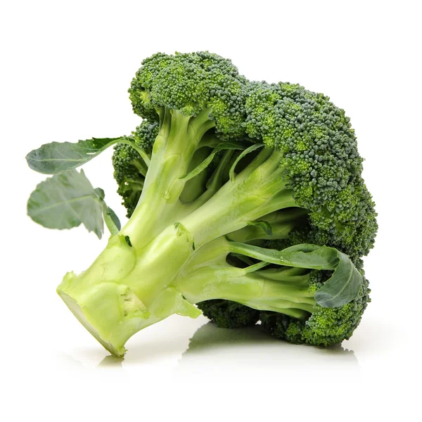 Broccoli isolati su fondo bianco — Foto Stock