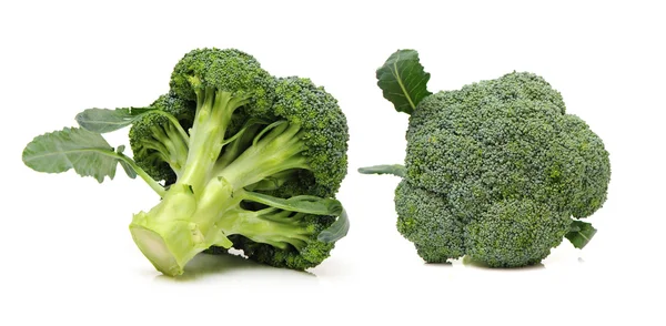 Broccoli isolati su fondo bianco — Foto Stock