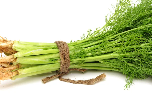 Dill geïsoleerd — Stockfoto